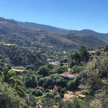 Finca Mariola - Centenaria-2